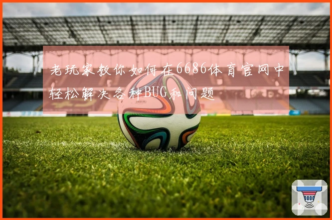 老玩家教你如何在6686体育官网中轻松解决各种BUG和问题