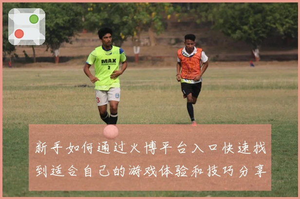 新手如何通过火博平台入口快速找到适合自己的游戏体验和技巧分享