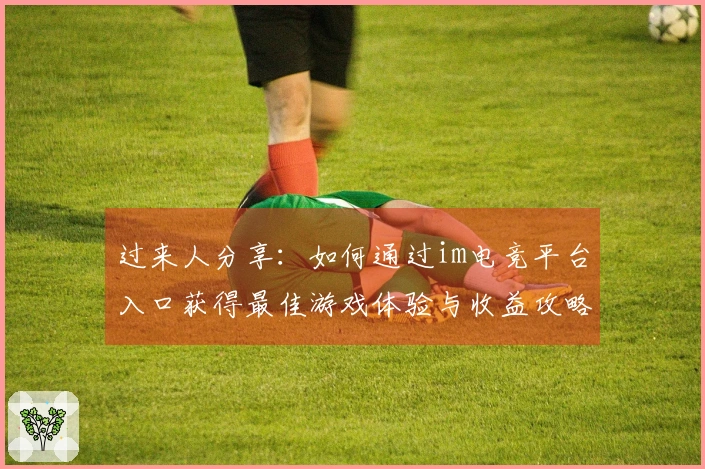 过来人分享：如何通过im电竞平台入口获得最佳游戏体验与收益攻略