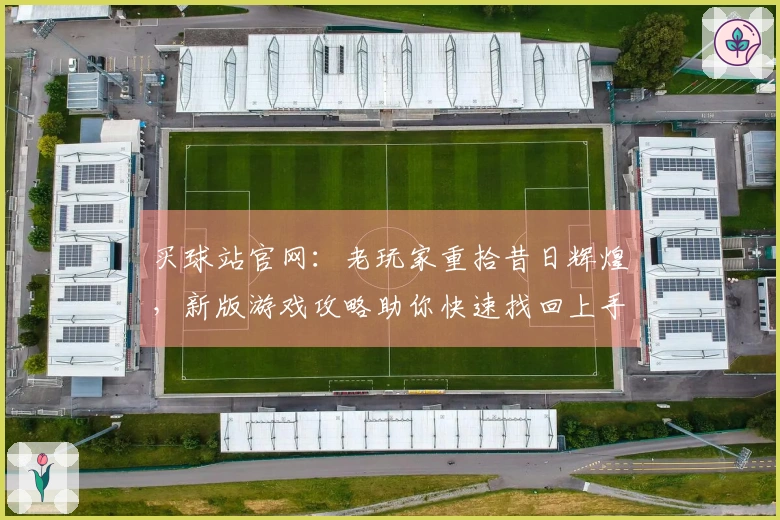 买球站官网：老玩家重拾昔日辉煌，新版游戏攻略助你快速找回上手感觉